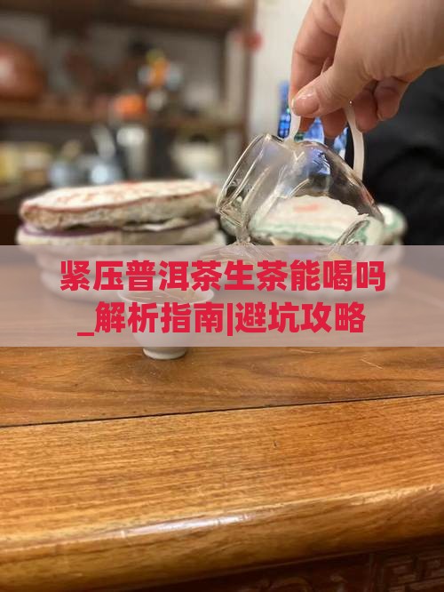 紧压普洱茶生茶能喝吗百度百科