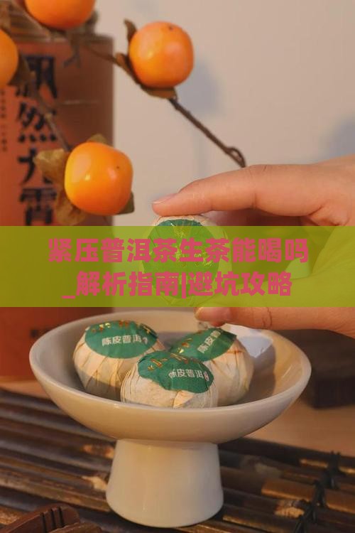 紧压普洱茶生茶能喝吗百度百科