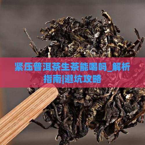 紧压普洱茶生茶能喝吗百度百科
