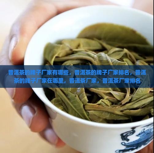 普洱茶的牌子厂家