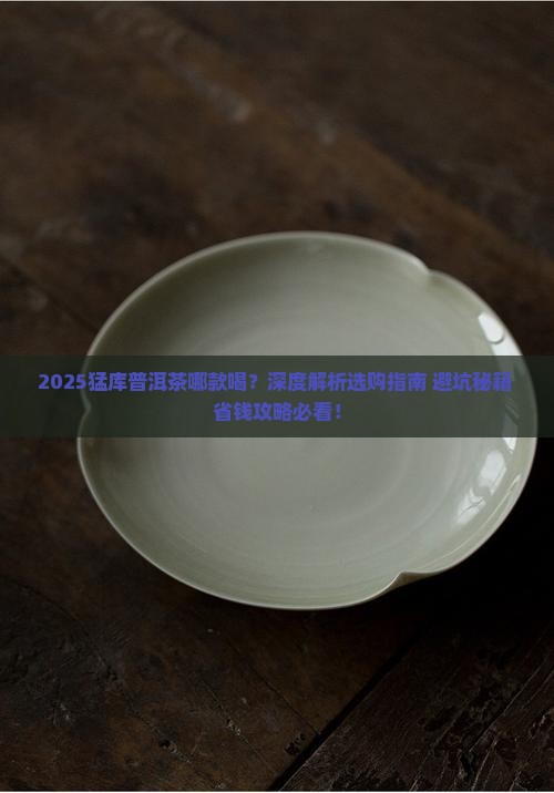 猛库普洱茶哪款好