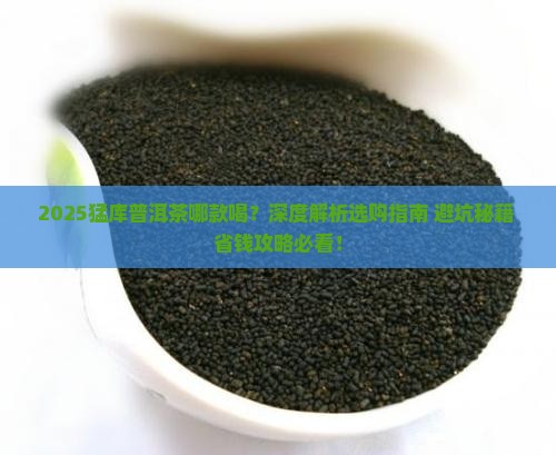 猛库普洱茶哪款好