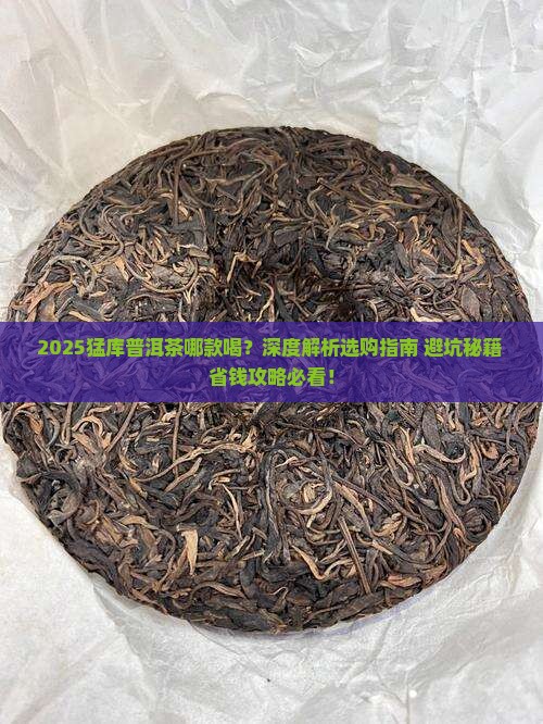 猛库普洱茶哪款好