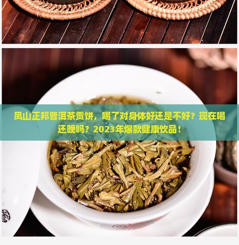 凤山正邦普洱茶贡饼