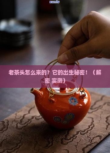 老茶头是怎样形成的