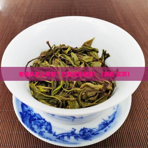 老茶头是怎样形成的