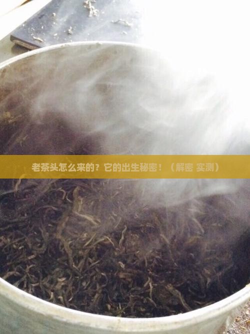 老茶头是怎样形成的