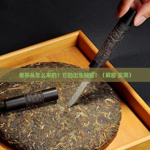 老茶头是怎样形成的