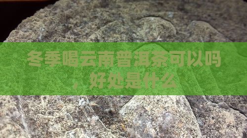 冬季喝云南普洱茶
