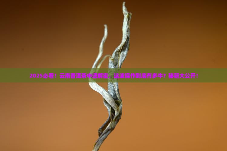 云南普洱茶申遗