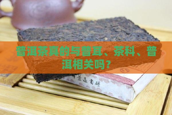 普洱茶真的很纯吗