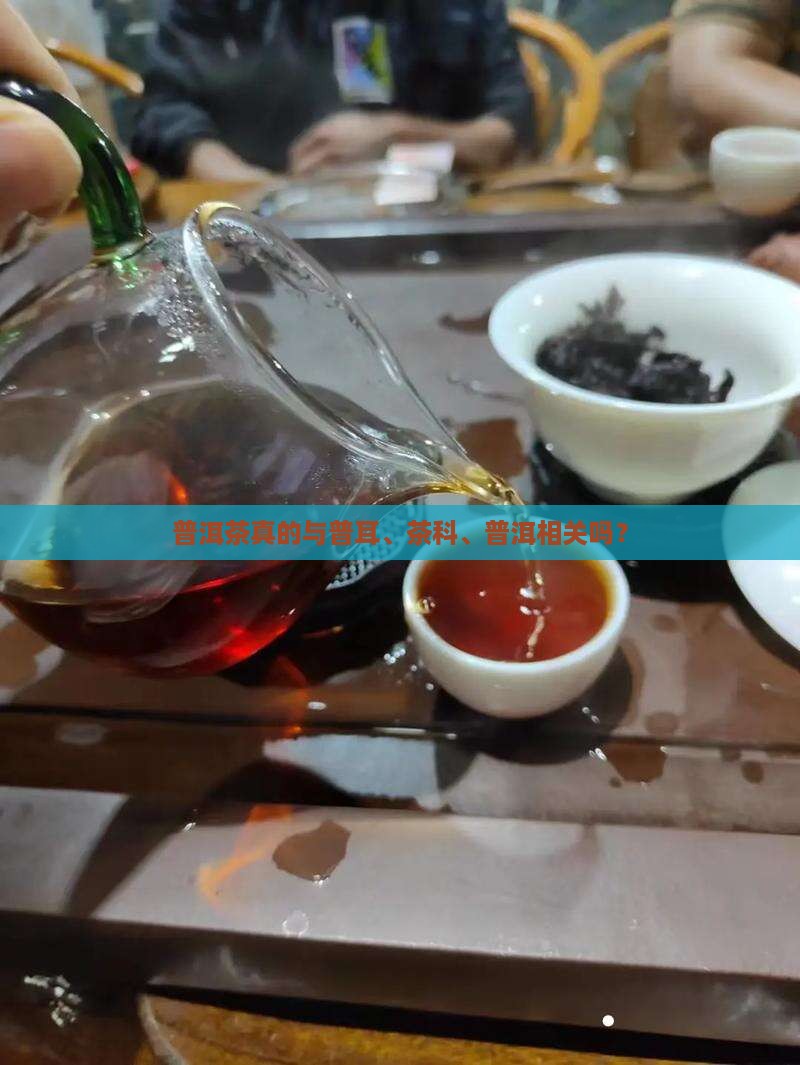 普洱茶真的很纯吗