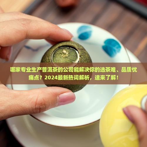 专业生产普洱茶的公司有