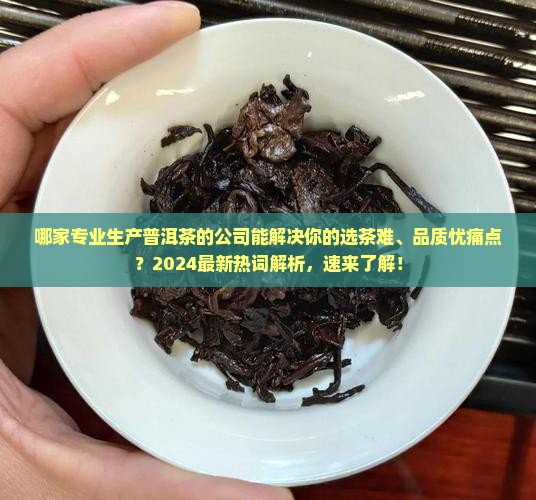 专业生产普洱茶的公司有