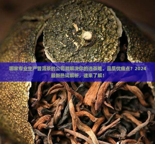 专业生产普洱茶的公司有