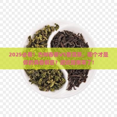 古树春茶和普洱茶哪个好