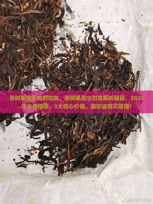 茶树果泡水喝的功效 茶树果泡水喝的功效