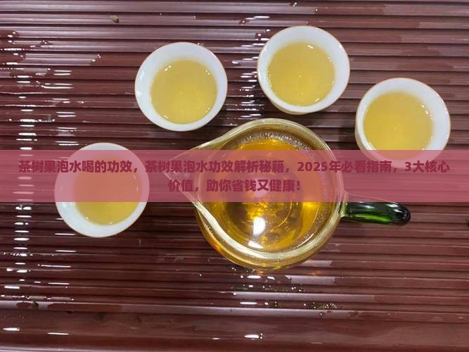 茶树果泡水喝的功效 茶树果泡水喝的功效