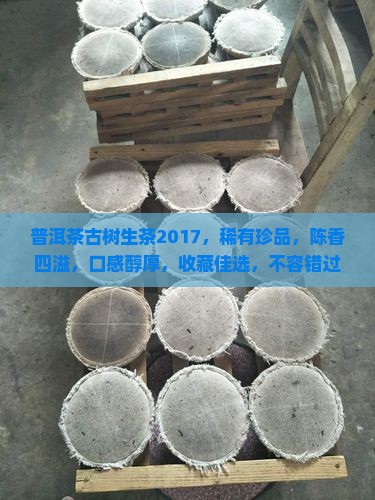 普洱茶古树生茶2017 普洱茶古树生茶2017
