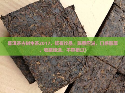 普洱茶古树生茶2017 普洱茶古树生茶2017