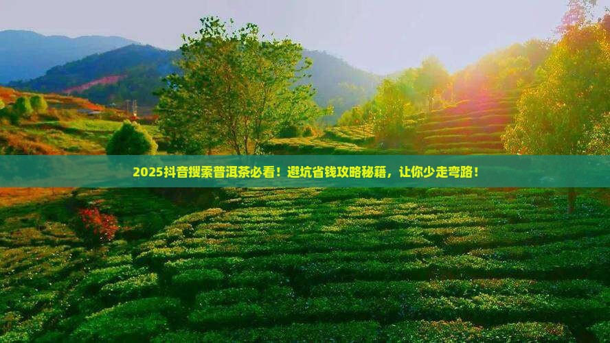 抖音搜索普洱茶怎么搜 抖音搜索普洱茶怎么搜