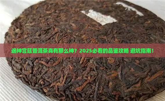 逸神宫廷普洱茶 逸神宫廷普洱茶