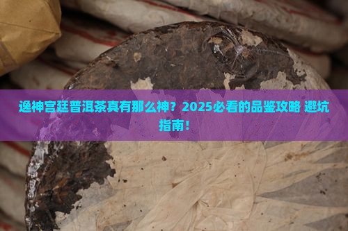 逸神宫廷普洱茶 逸神宫廷普洱茶