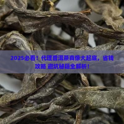 代理什么普洱茶好