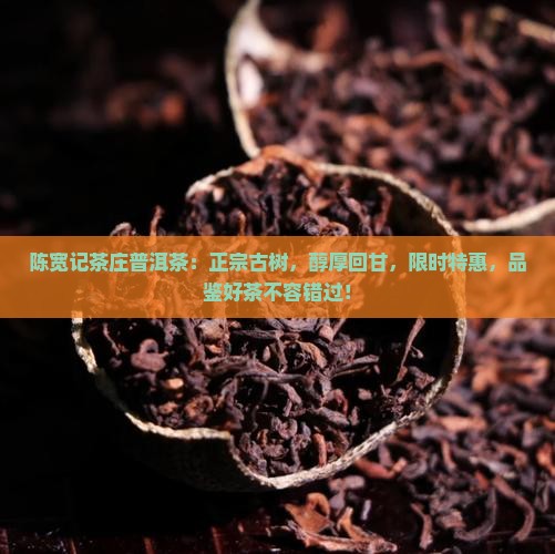 陈宽记茶庄普洱茶