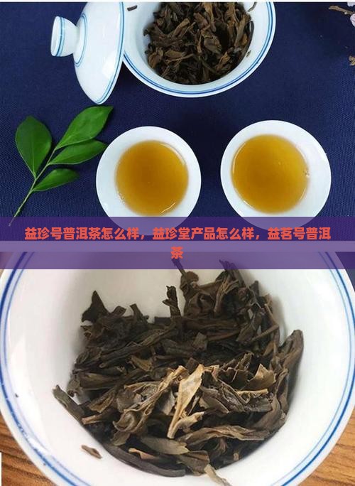 益珍号普洱茶怎么样