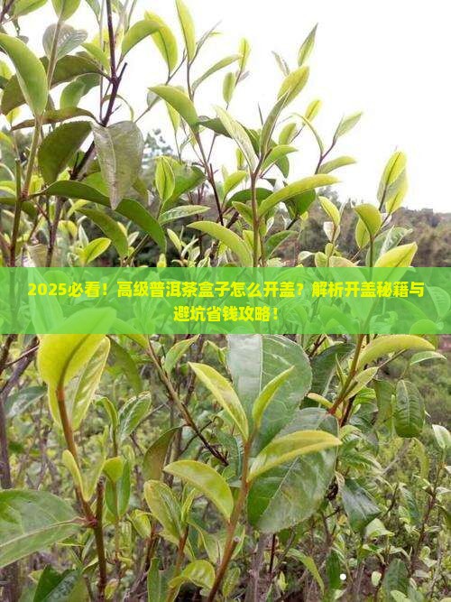 高级普洱茶盒子怎么开盖
