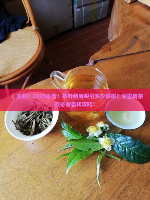 茶叶吸引蟑螂吗