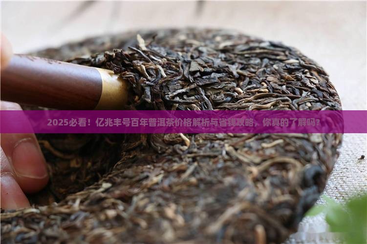 亿兆丰号百年普洱茶多少钱