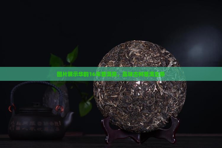 华韵16年普洱茶