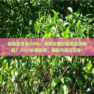 勐海普洱茶2006