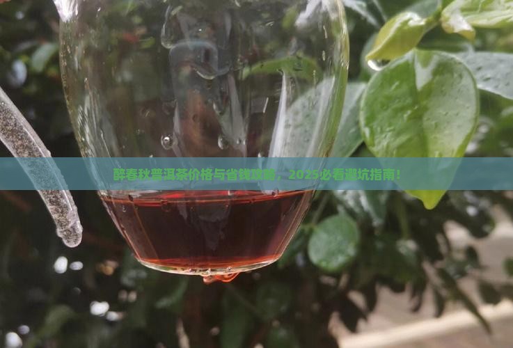 醉春秋普洱茶价格