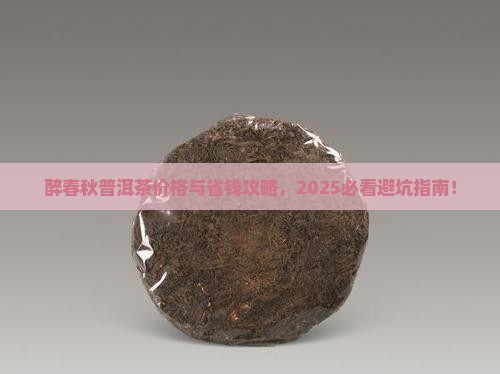 醉春秋普洱茶价格