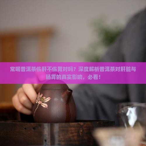 常喝普洱茶伤肝不伤胃对吗