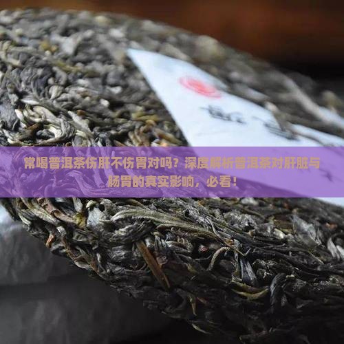 常喝普洱茶伤肝不伤胃对吗