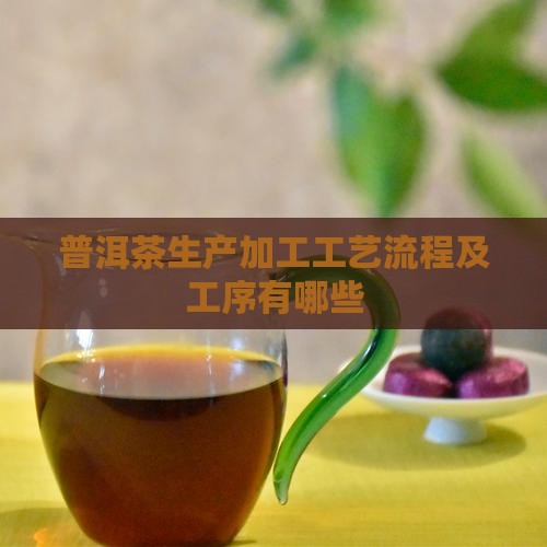 普洱茶生产加工工艺