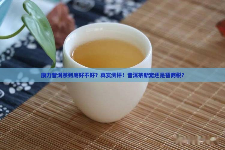 康力普洱茶到底好不好