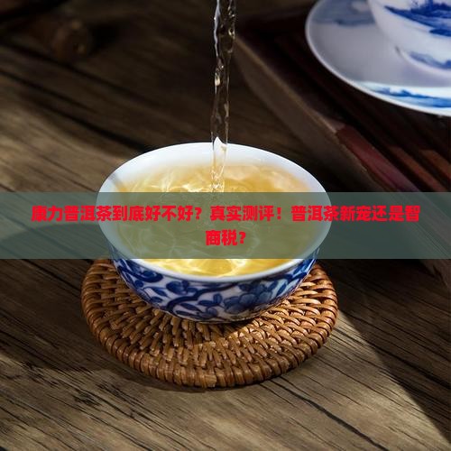 康力普洱茶到底好不好