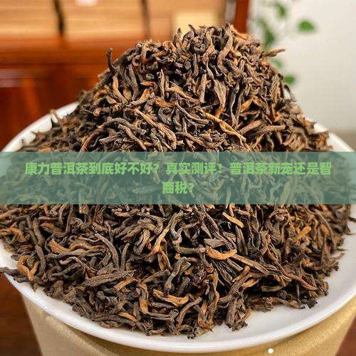 康力普洱茶到底好不好