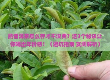 熟普洱茶怎么存放更好