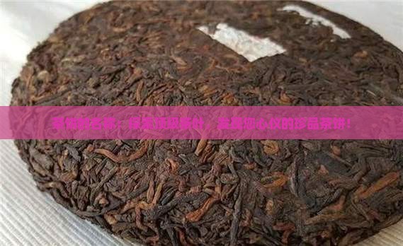 茶饼的品牌名称