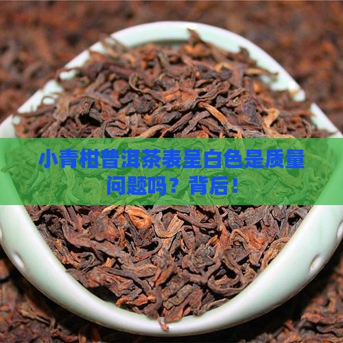 小青柑普洱茶表呈白色