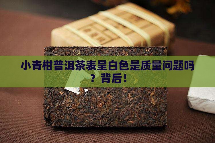 小青柑普洱茶表呈白色