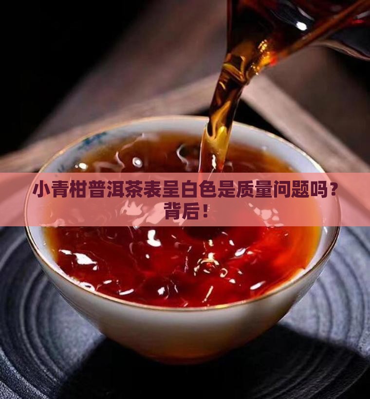 小青柑普洱茶表呈白色