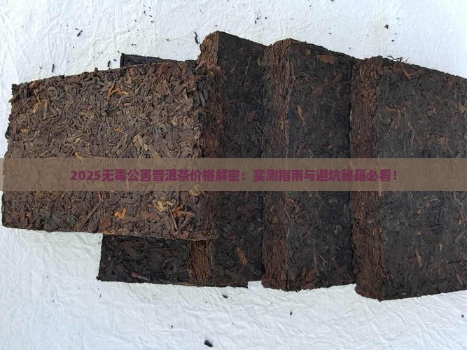 无毒公害普洱茶多少钱一斤