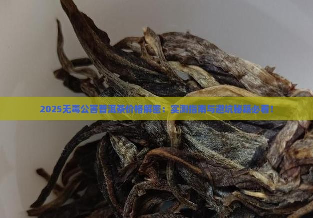 无毒公害普洱茶多少钱一斤